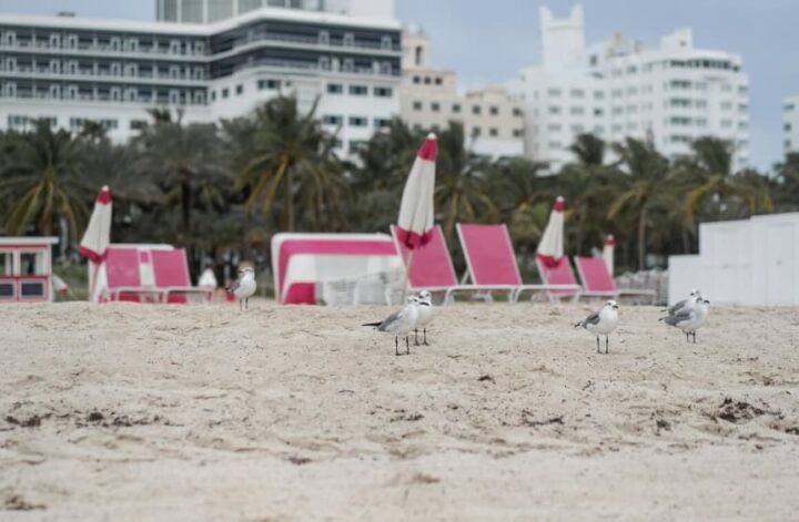 Pass-a-Grille beach house rentals in St. Petersburg, FL